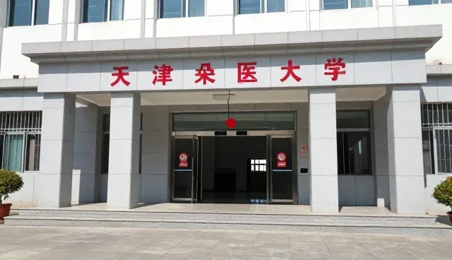青岛做网站如何选择合适的服务器托管服务?