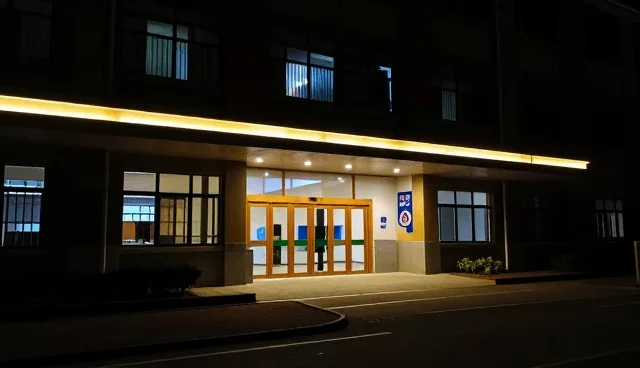 内容优化:数字内容创作趋势与策略分析